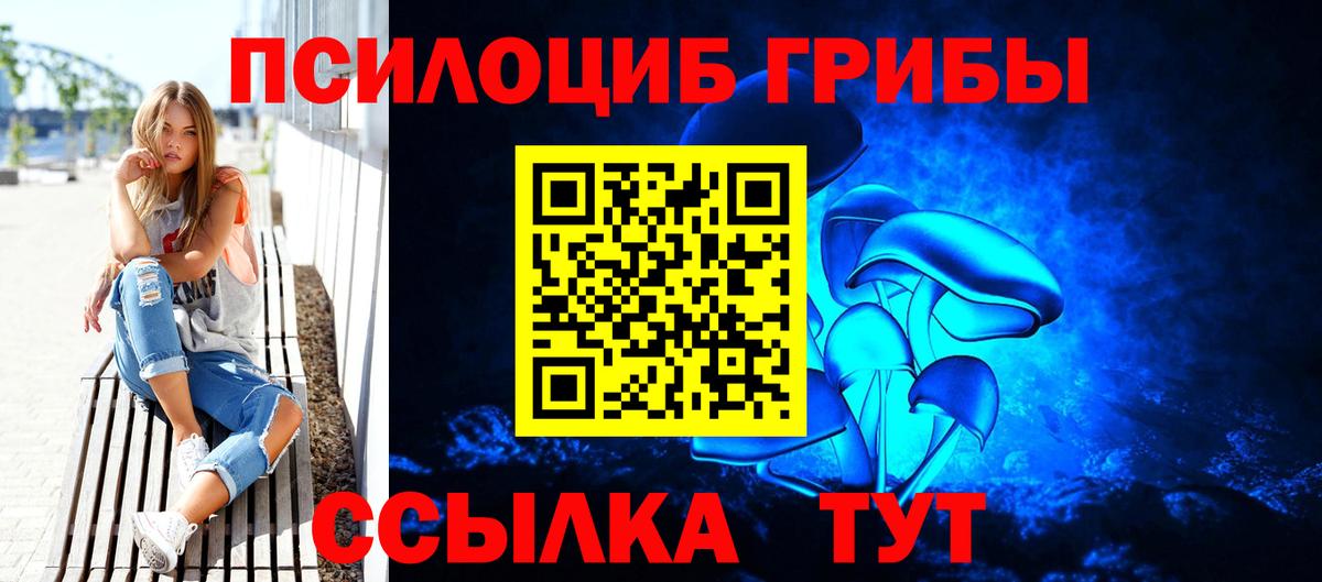 Галлюциногенные грибы GOLDEN TEACHER Гусь-Хрустальный